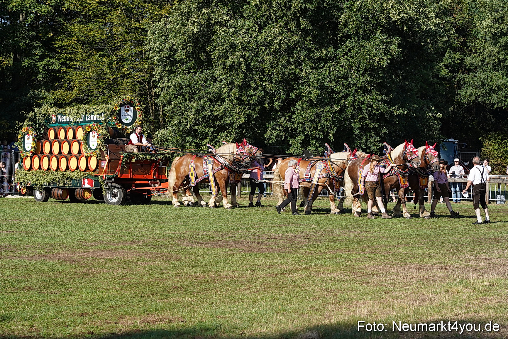 Pferde und Fohlenschau 2022 0036 